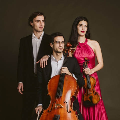 Trio Kobalt